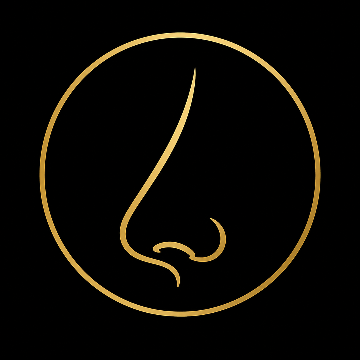 Ícone de rinoplastia estética